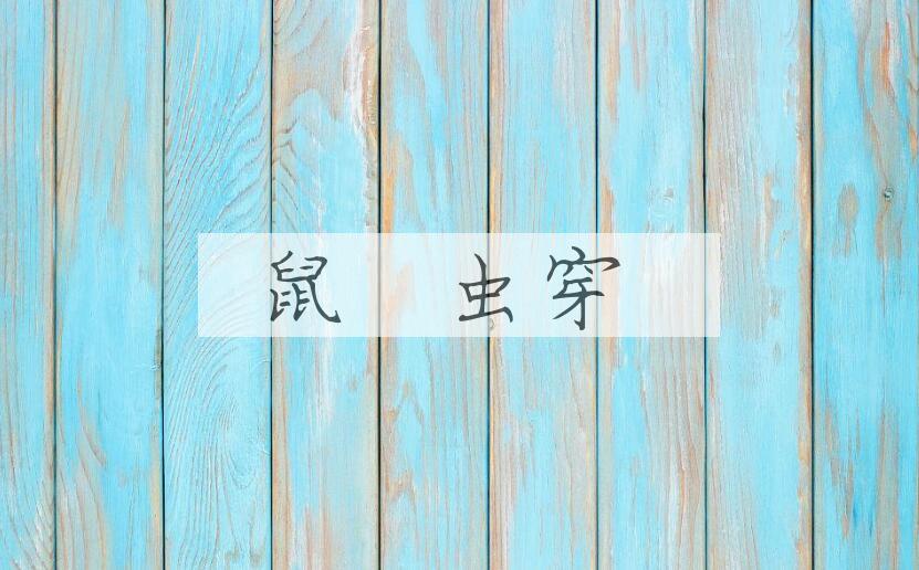 成语鼠齧虫穿是什么意思？