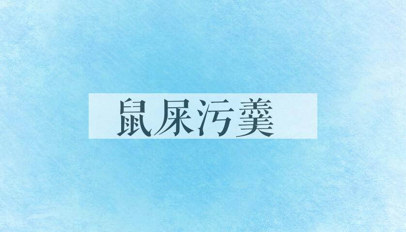 成语鼠屎污羹是什么意思？