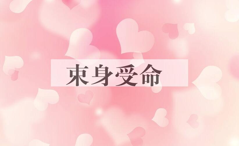 成语束身受命是什么意思？