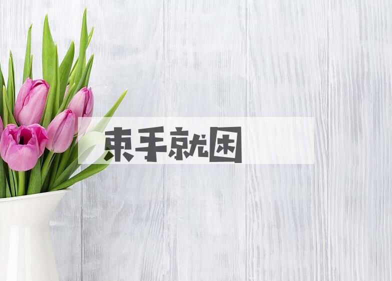 成语束手就困是什么意思？