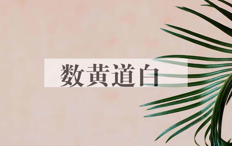 成语数黄道白是什么意思？