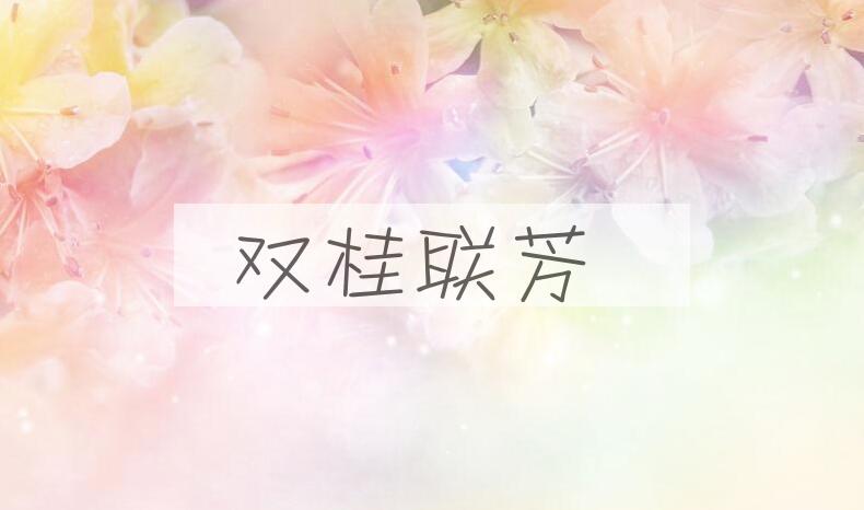 成语双桂联芳是什么意思？