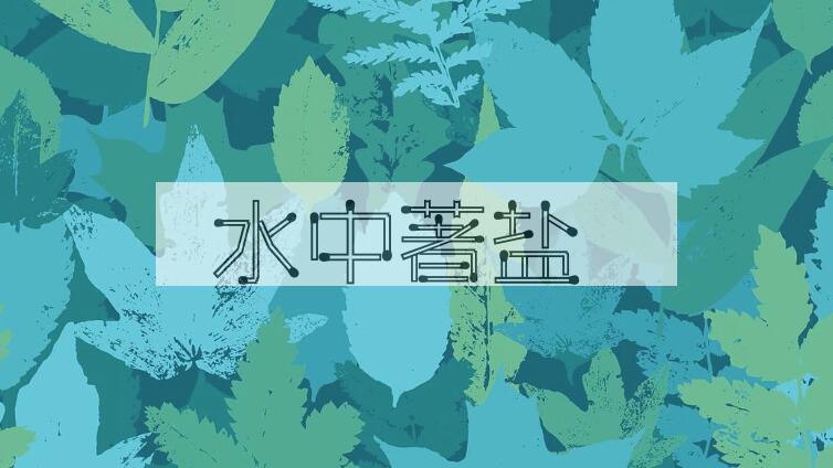 成语水中著盐是什么意思？