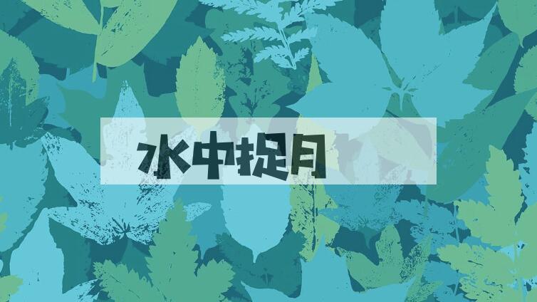成语水中捉月是什么意思？
