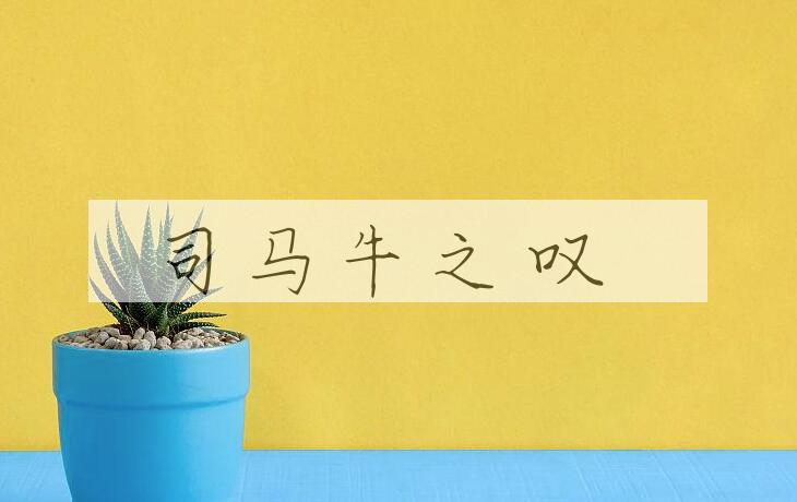 成语司马牛之叹是什么意思？