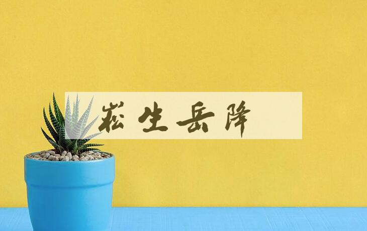 成语崧生岳降是什么意思？