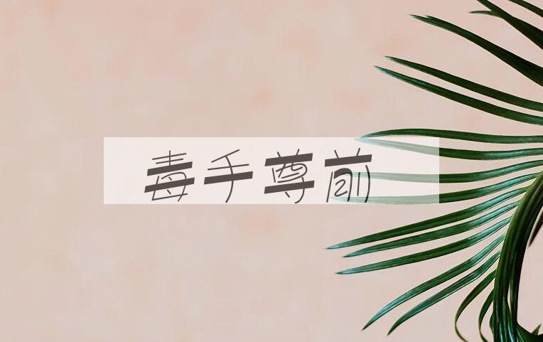 成语毒手尊前是什么意思？