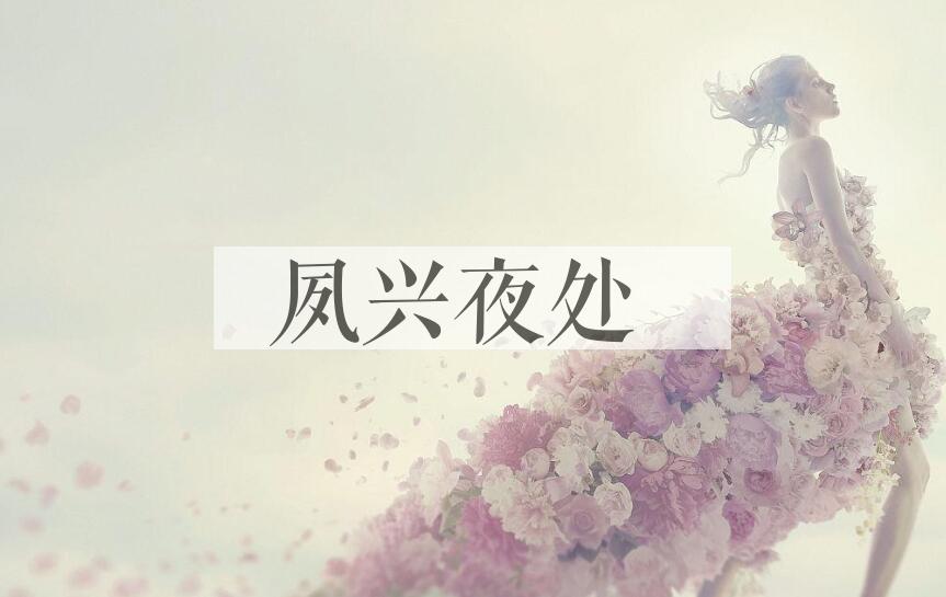 成语夙兴夜处是什么意思？