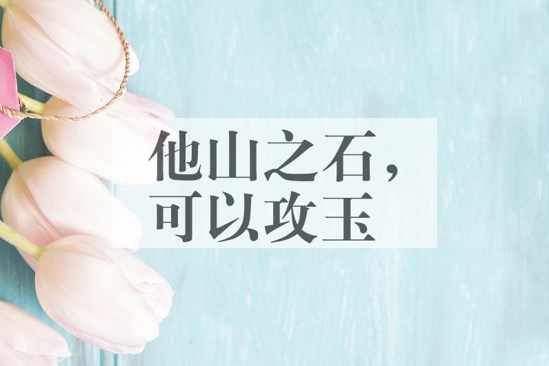 成语他山之石,可以攻玉是什么意思?