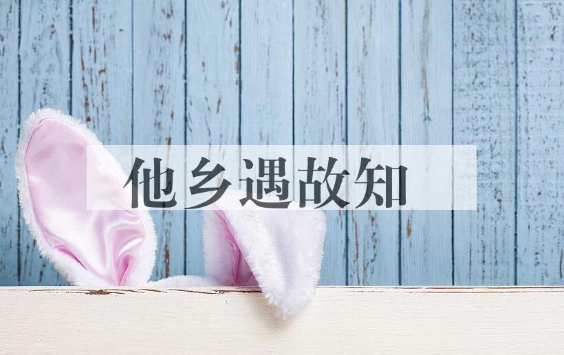 成语他乡遇故知是什么意思？