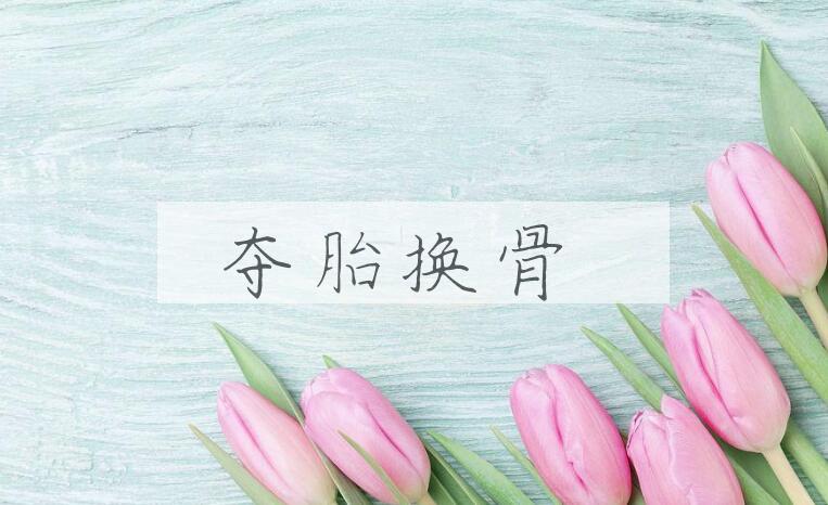 成语夺胎换骨是什么意思？