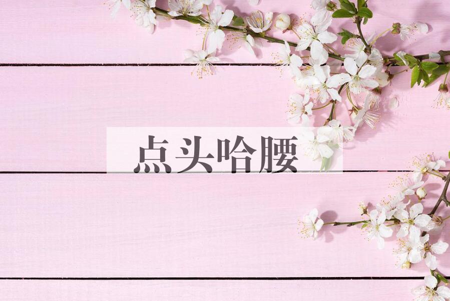 成语点头哈腰是什么意思？
