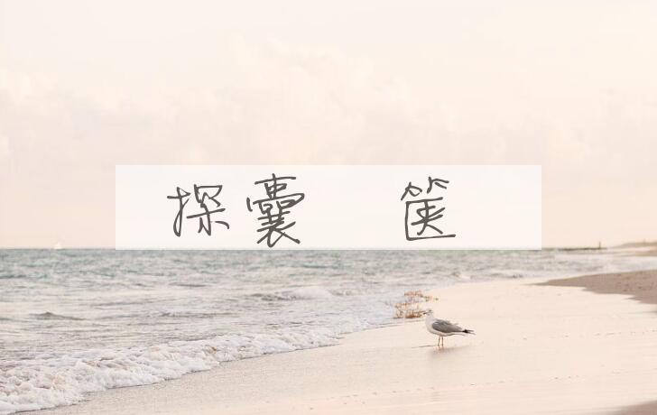 成语探囊胠箧是什么意思？