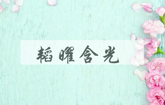 成语韬曜含光是什么意思？
