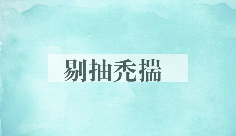 成语剔抽秃揣是什么意思？