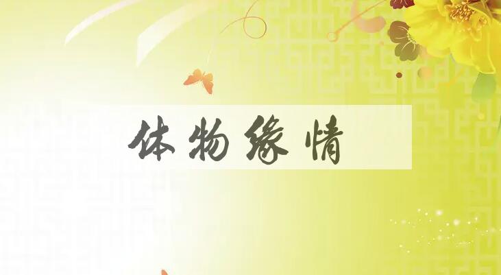 成语体物缘情是什么意思？