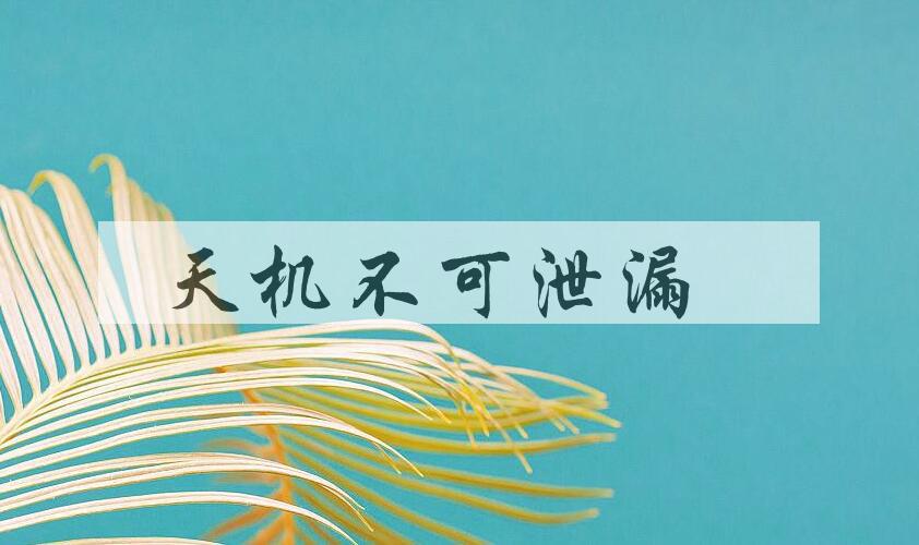 成语天机不可泄漏是什么意思？
