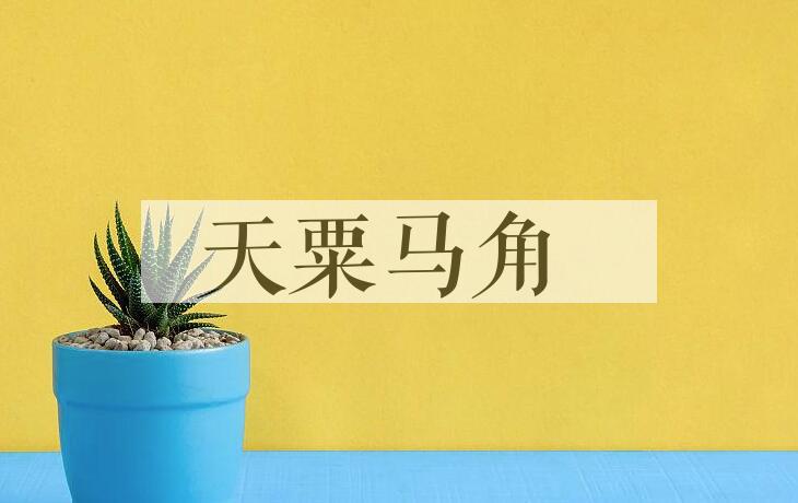 成语天粟马角是什么意思？
