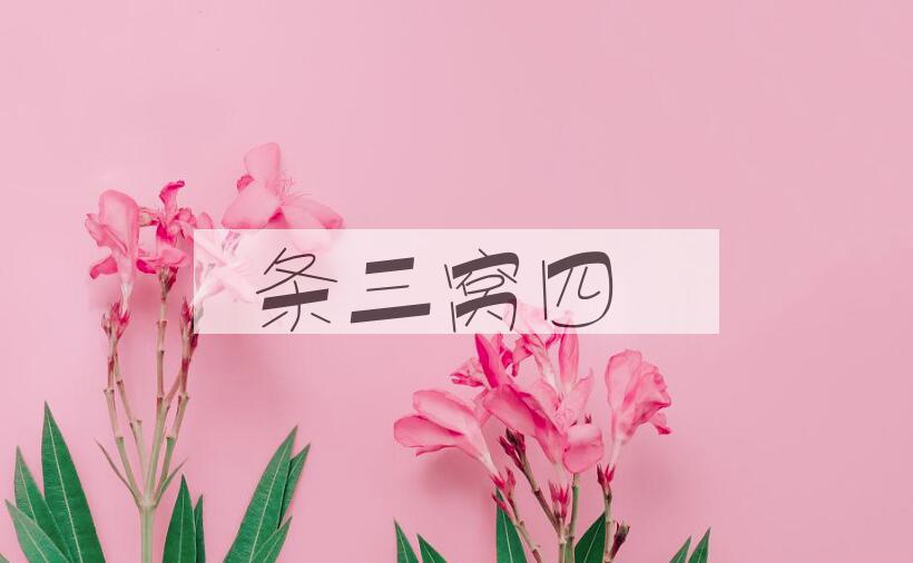 成语条三窝四是什么意思？