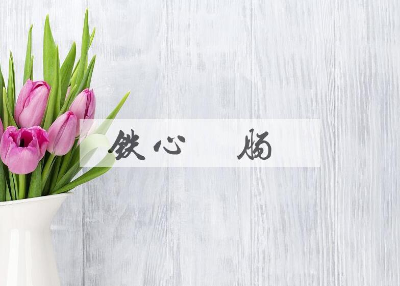 成语铁心木肠是什么意思？