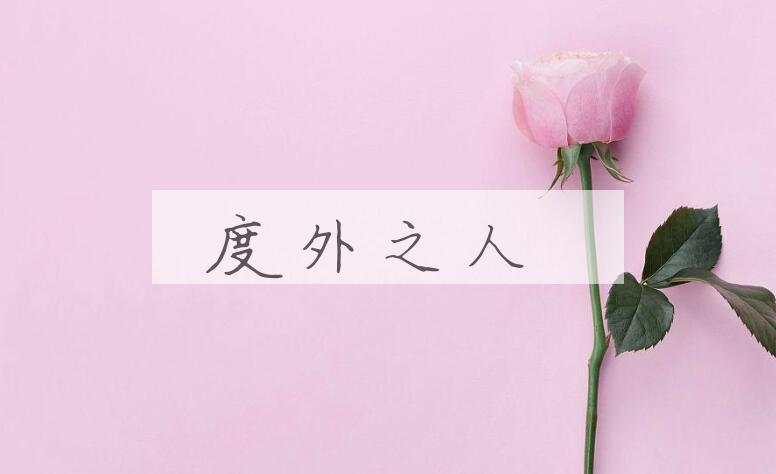 成语度外之人是什么意思？