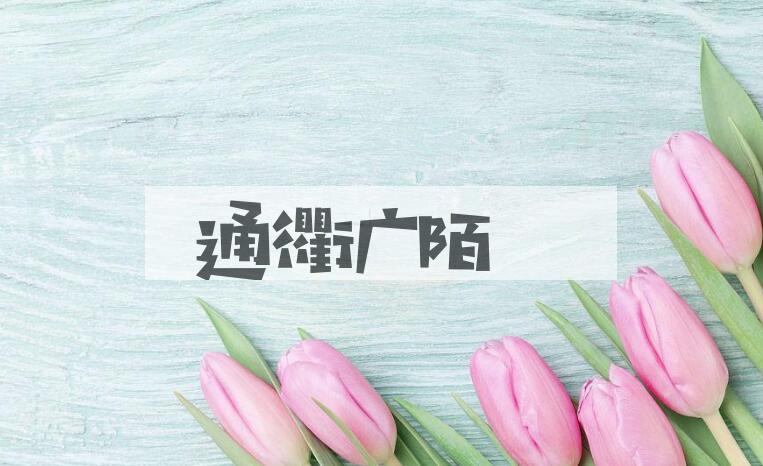 成语通衢广陌是什么意思？