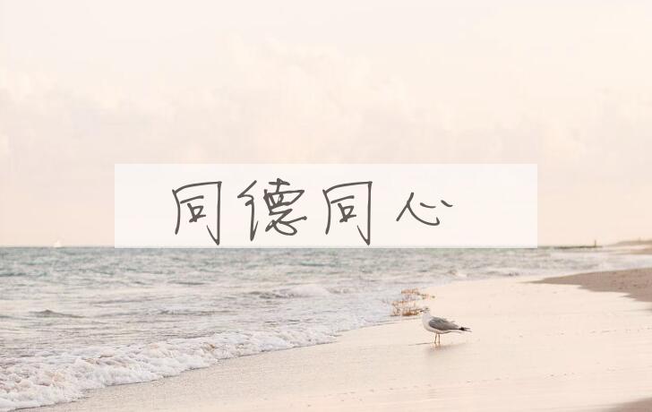 成语同德同心是什么意思？