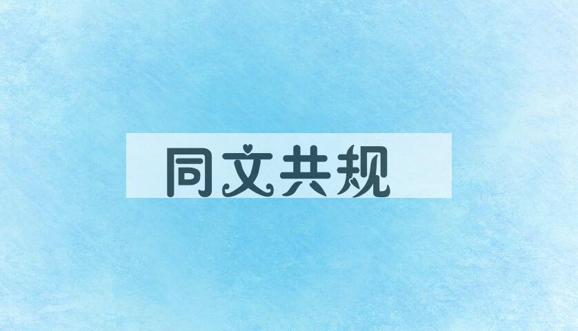 成语同文共规是什么意思？