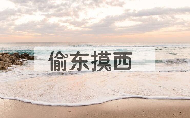成语偷东摸西是什么意思？