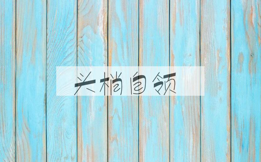 成语头梢自领是什么意思？