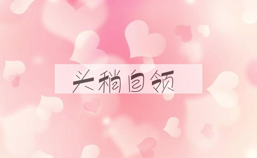 成语头稍自领是什么意思？