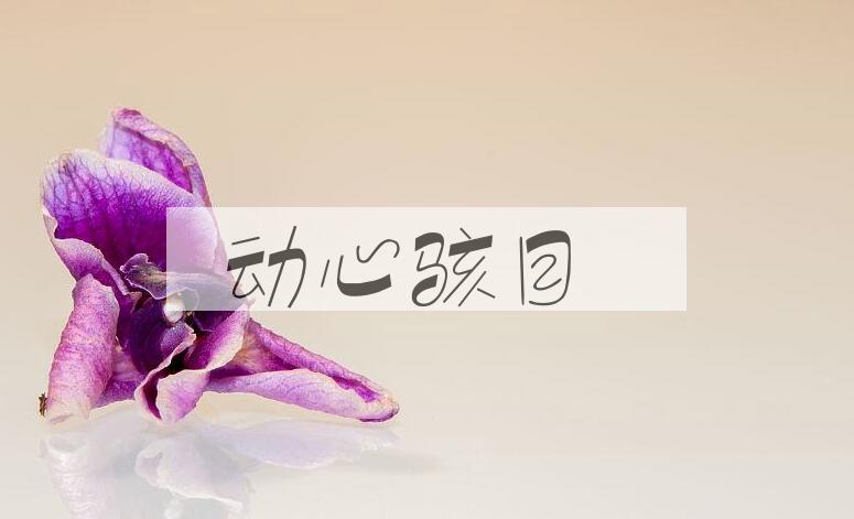 成语动心骇目是什么意思？