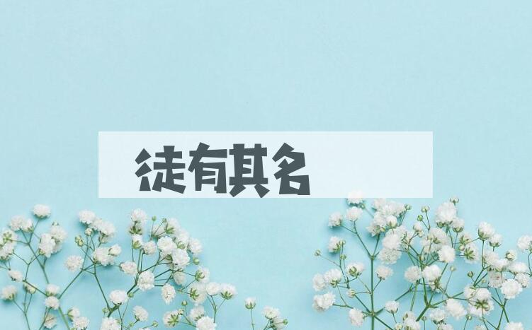 成语徒有其名是什么意思？