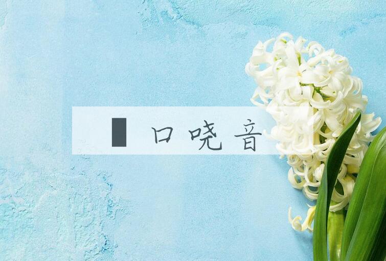 成语瘏口哓音是什么意思？
