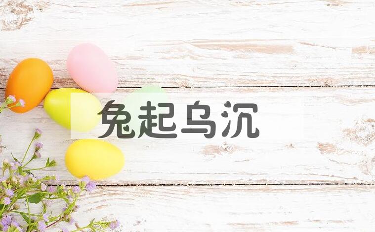 成语兔起乌沉是什么意思？