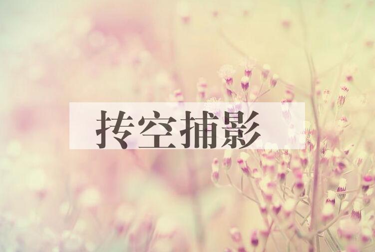 成语抟空捕影是什么意思？
