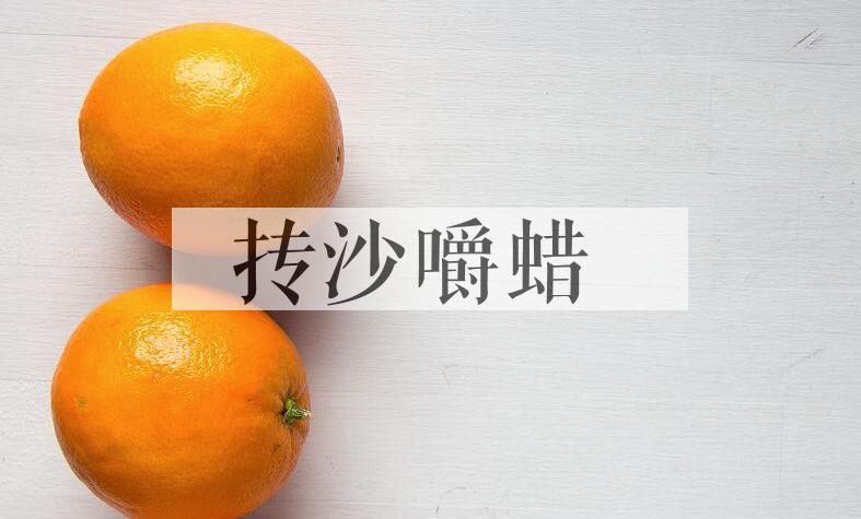 成语抟沙嚼蜡是什么意思？