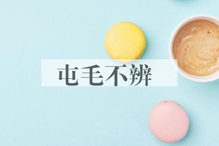 成语屯毛不辨是什么意思？