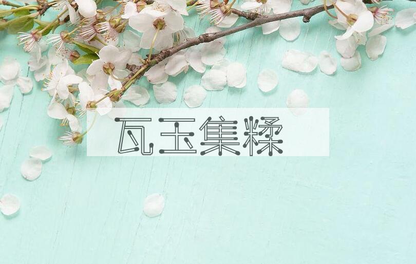 成语瓦玉集糅是什么意思？