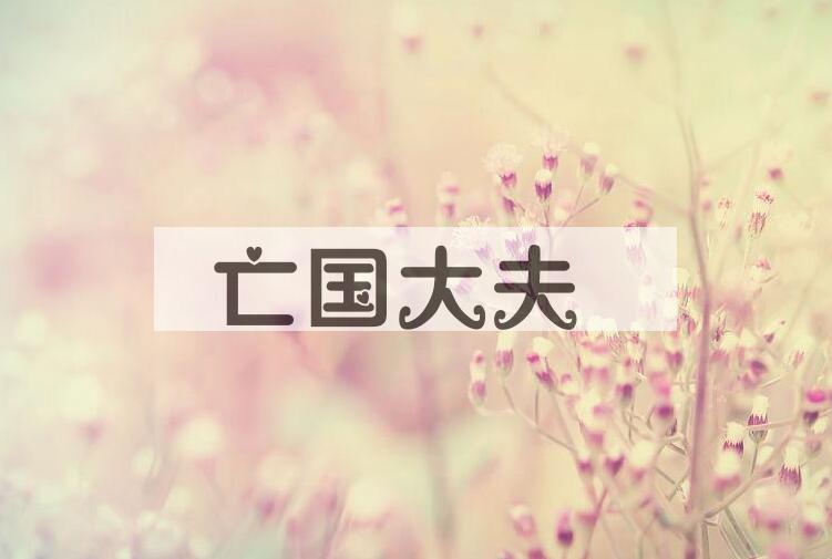 成语亡国大夫是什么意思？