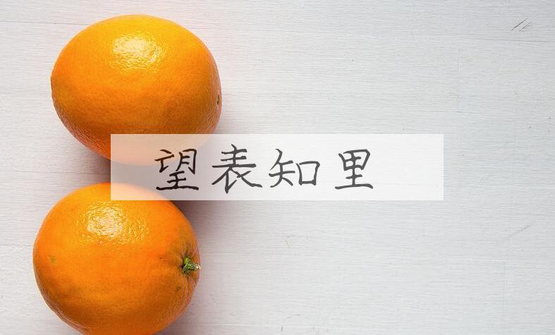成语望表知里是什么意思？