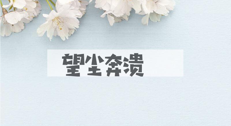 成语望尘奔溃是什么意思？
