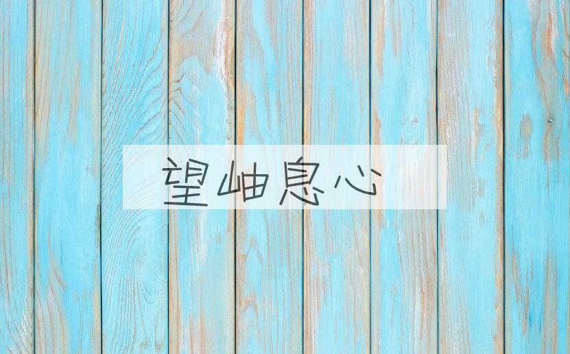 成语望岫息心是什么意思？
