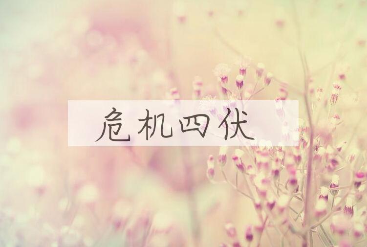 成语危机四伏是什么意思？