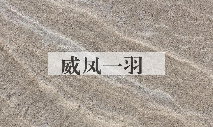 成语威凤一羽是什么意思？