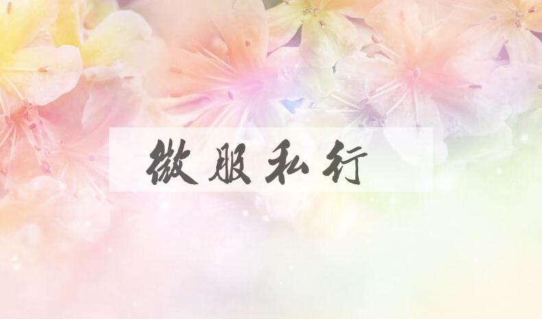成语微服私行是什么意思？