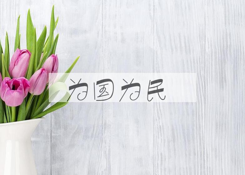 成语为国为民是什么意思？