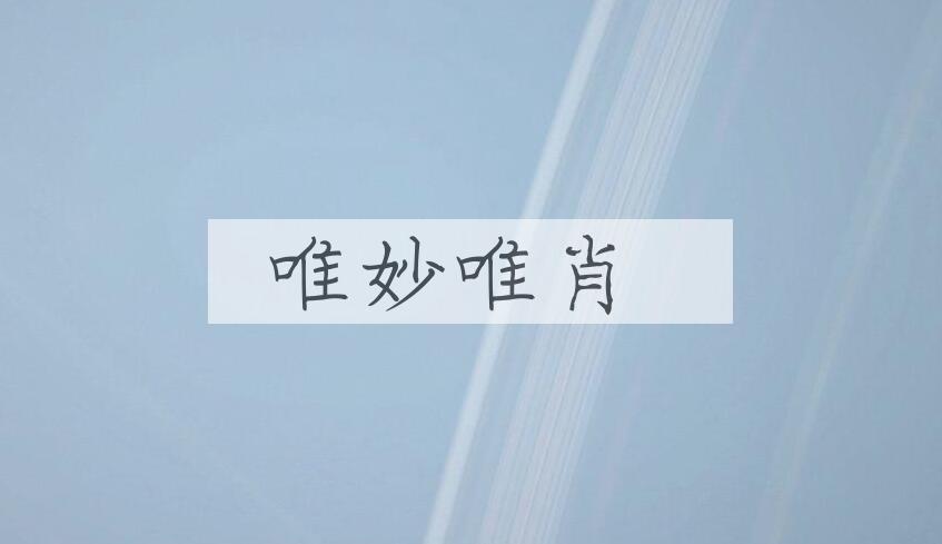 成语唯妙唯肖是什么意思？
