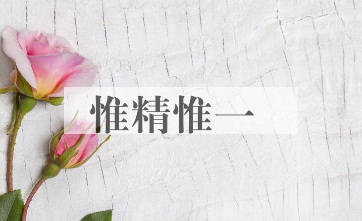 成语惟精惟一是什么意思？
