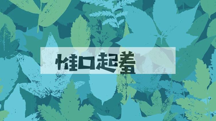 成语惟口起羞是什么意思？